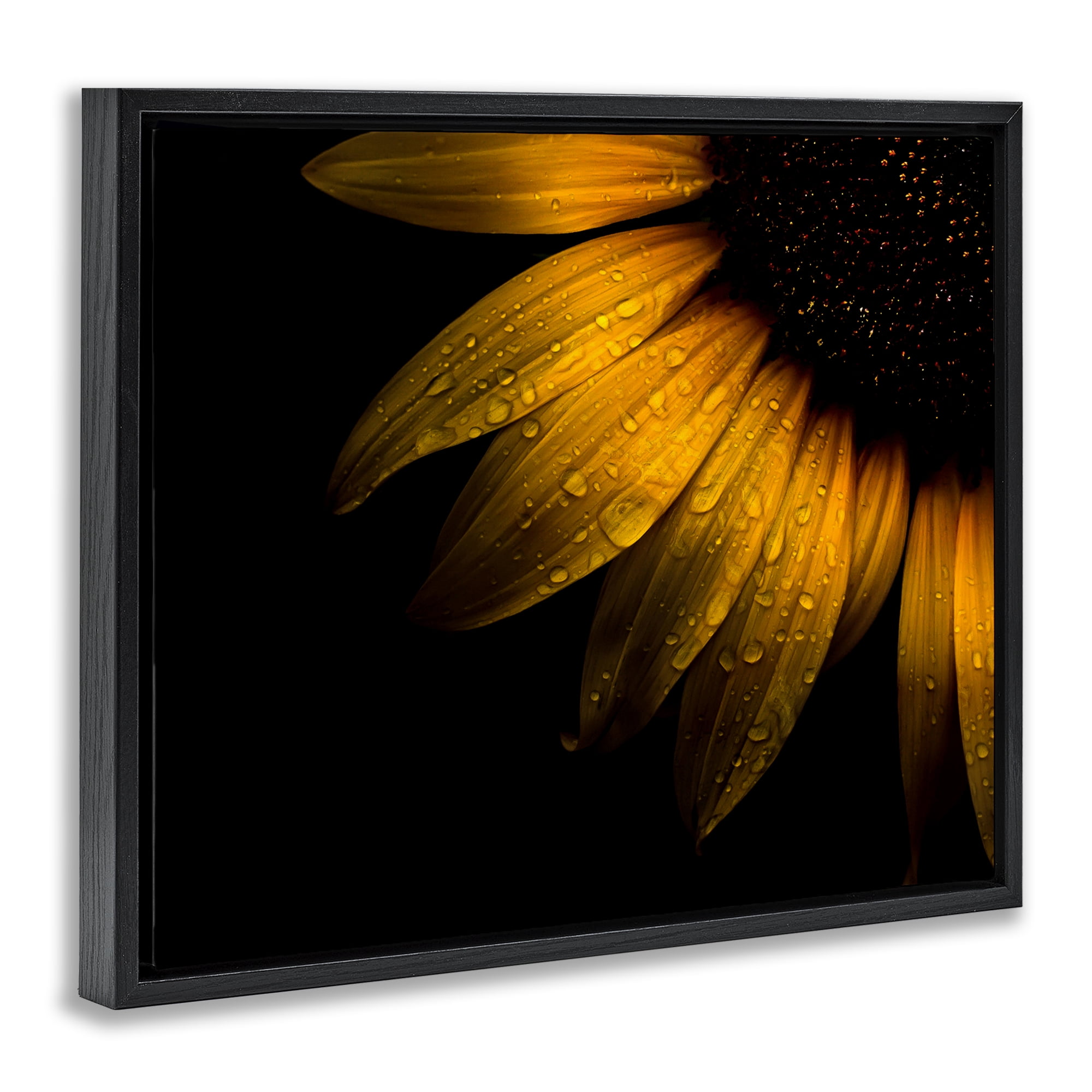 Water Droplets on Sunflower Black Framed Floater Canvas Wall Art, design by Brian Carson Photography