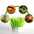thumbnail image 4 of Humidificador de Aire Ambiental Terrario Ranas Mascotas Serpientes Sunnimix Suministros de reptiles, 4 of 7