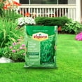 20 Lbs. Tall Fescue Grass Seed Blend With Water Saver Seed Coating