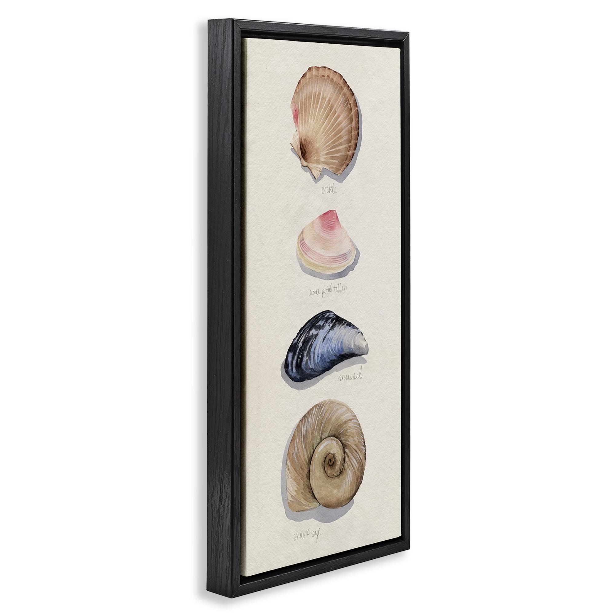 Stupell Industries Traditional Nautical Sea Shells Nature Painting Black Floater Framed Canvas Art Print Wall Art, 11 x 25