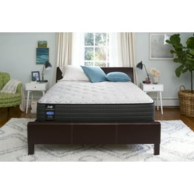 Sauder Registry Row Writing Desk Amber Pine Sealy Response Performance 12 Inch Cushion Firm Top Mattress