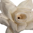 thumbnail image 2 of Vickerman 1.6"/2.4"/3.2" 1-3" Assorted Jonquil Sola Head 24 Flowers per Polybag, 2 of 2