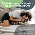 thumbnail image 5 of Thornell Cat Odor-off: Cat Spray Odor Eliminator - Fresh Scent Pet Odor Eliminator for Home - Pet Urine Odor Eliminator Spray, 22oz, 5 of 5