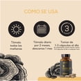 thumbnail image 4 of Hongo Cola de Pavo 60 cápsulas veganas Quenut Turkey Tail Quenut QUENUTCOLADEPAVO, 4 of 5