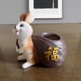 thumbnail image 4 of DOLITY Pot Cactus Plant Pot Creative Small Planter Cute Animal Pot for carrying pot, 4 of 9