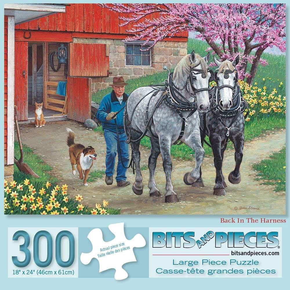 Bits And Pieces Jigsaw Puzzles Classic Summer 300 Piece Set of 3 18" x 24"