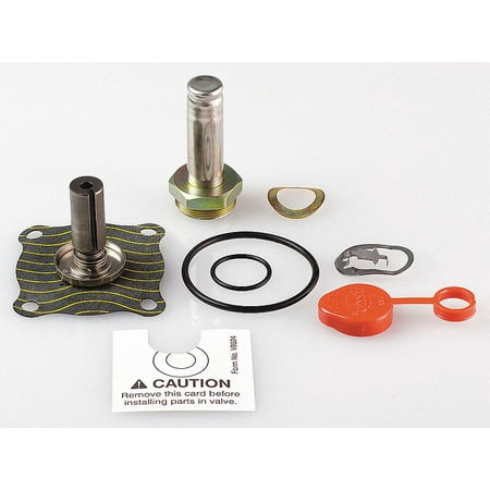 

Asco Valve Rebuild Kit 302432