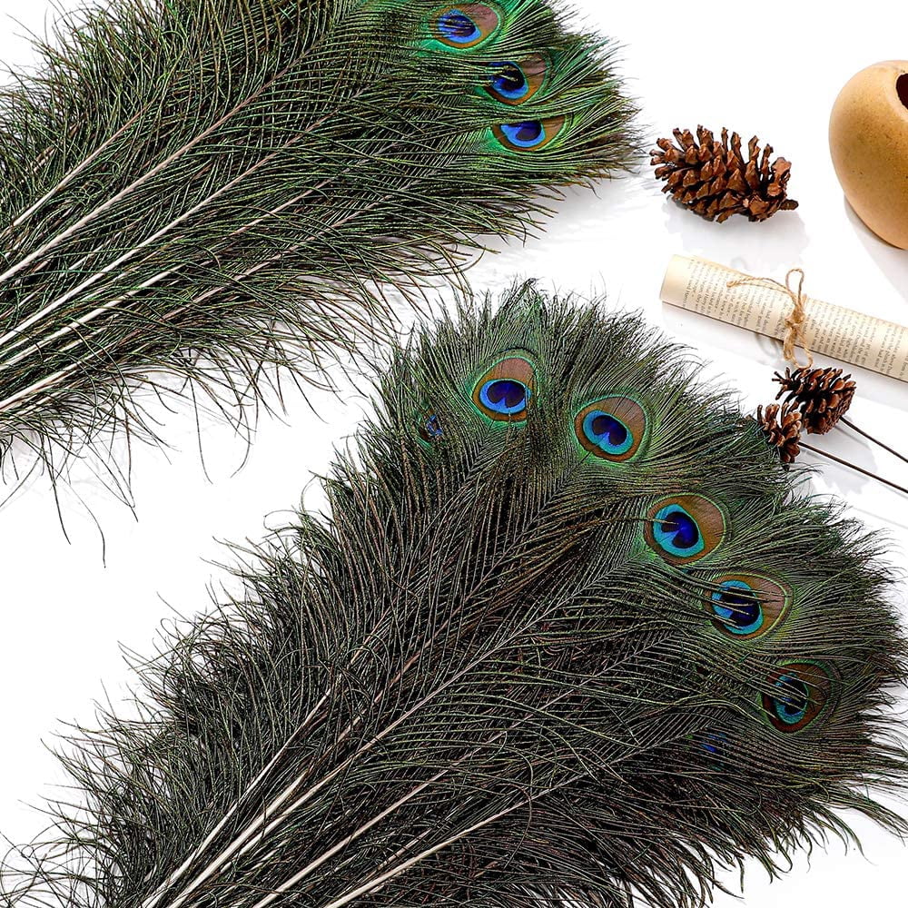 20pcs Natural Long Peacock Feathers 35-40 inch for DIY Craft, Party, Wedding Christmas Decoration and Floral Arrangement