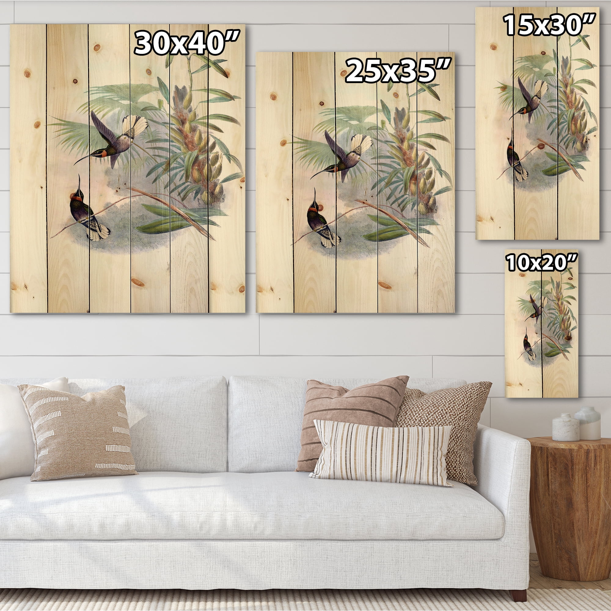 Designart 'Ancient Hummingbird On A Branch' Traditional Print on Natural Pine Wood