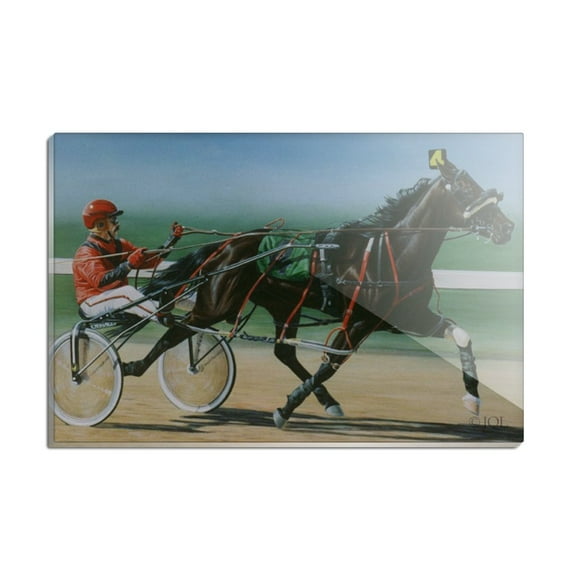 Harness Racing Horse Sulky Trotter Rectangle Acrylic Fridge Refrigerator Magnet