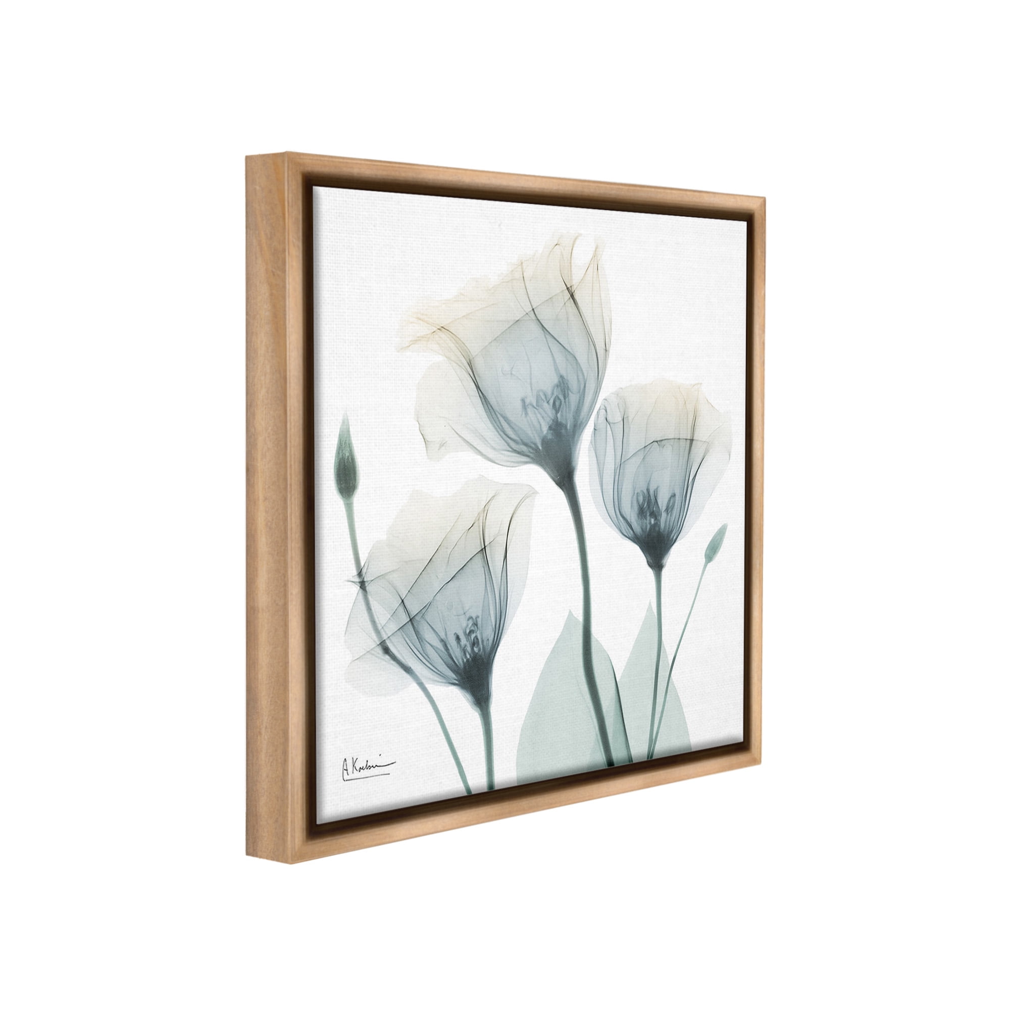 Stupell Industries Soft Opaque Tulips Botanical & Floral Photography Brown Floater Framed Canvas Art Print Wall Art, 18 x 18