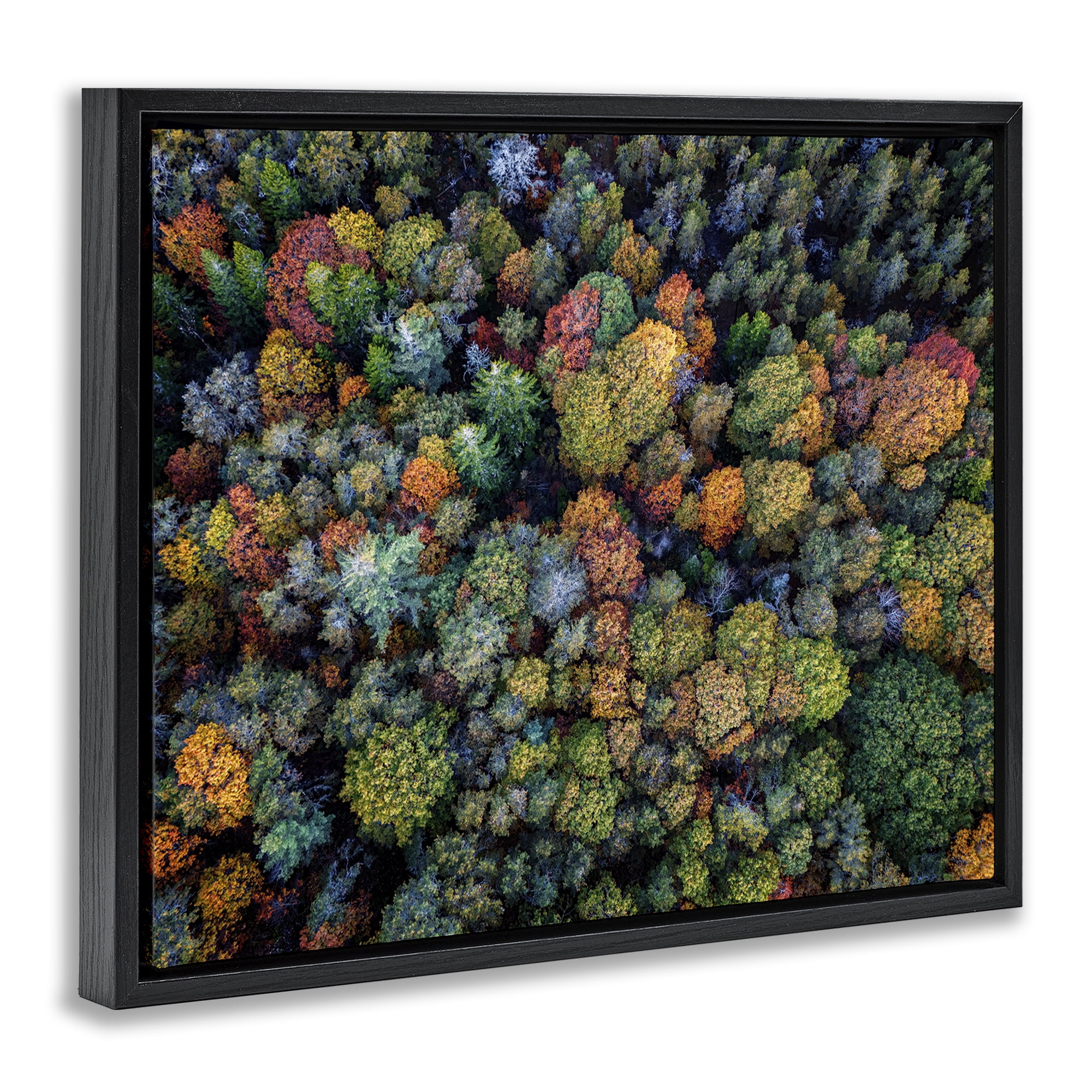 Stupell Industries Aerial View Autumnal Foliage Landscape & Nature Photography Black Floater Framed Canvas Art Print Wall Art, 31 x 25