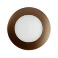 thumbnail image 4 of Nicor Lighting 17505OB 6 In. Oil-Rubbed Bronze Albalite Shower, 4 of 6