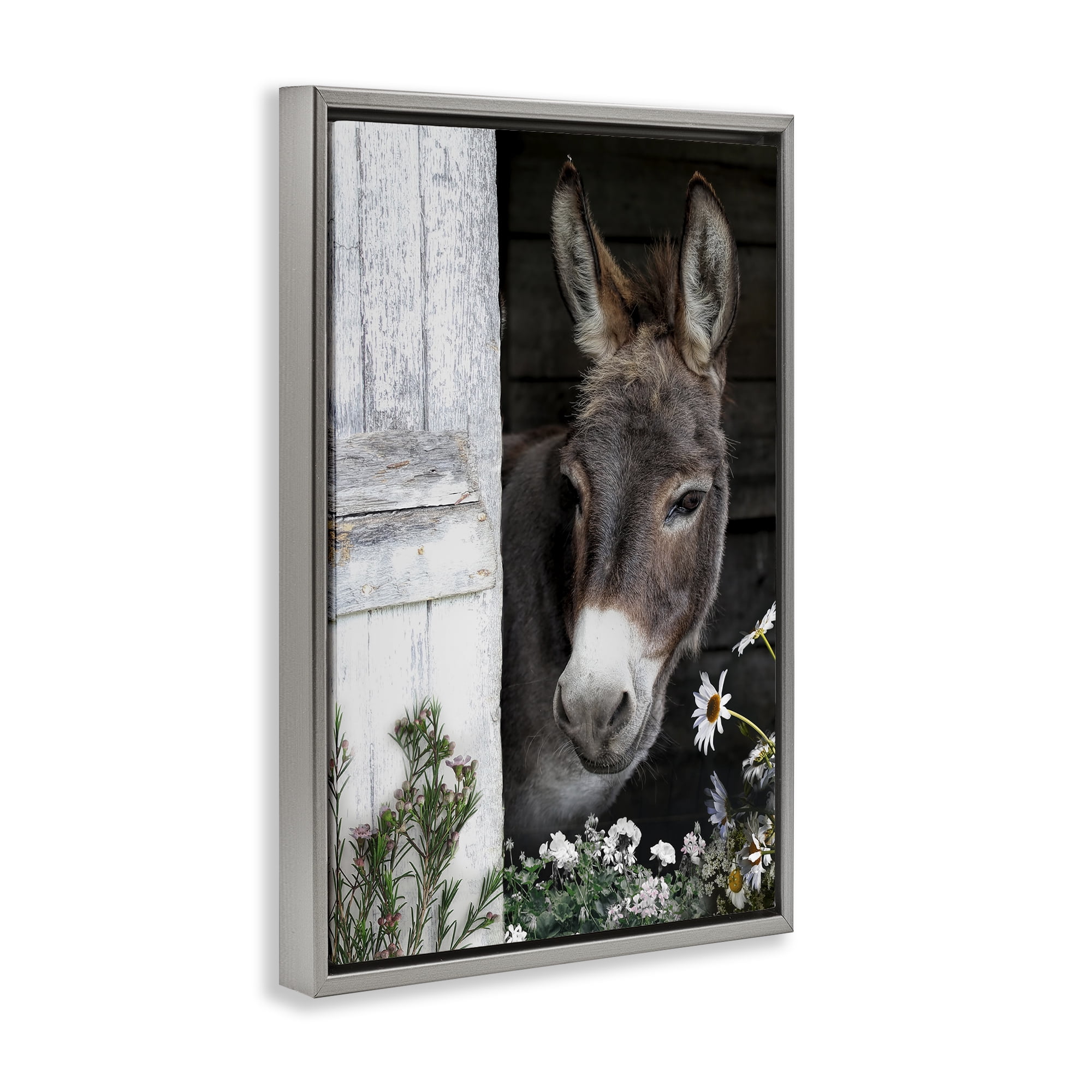 Stupell Industries Gentle Donkey Peering from Barn Gray Framed Floater Canvas Wall Art, design by CAD Designs