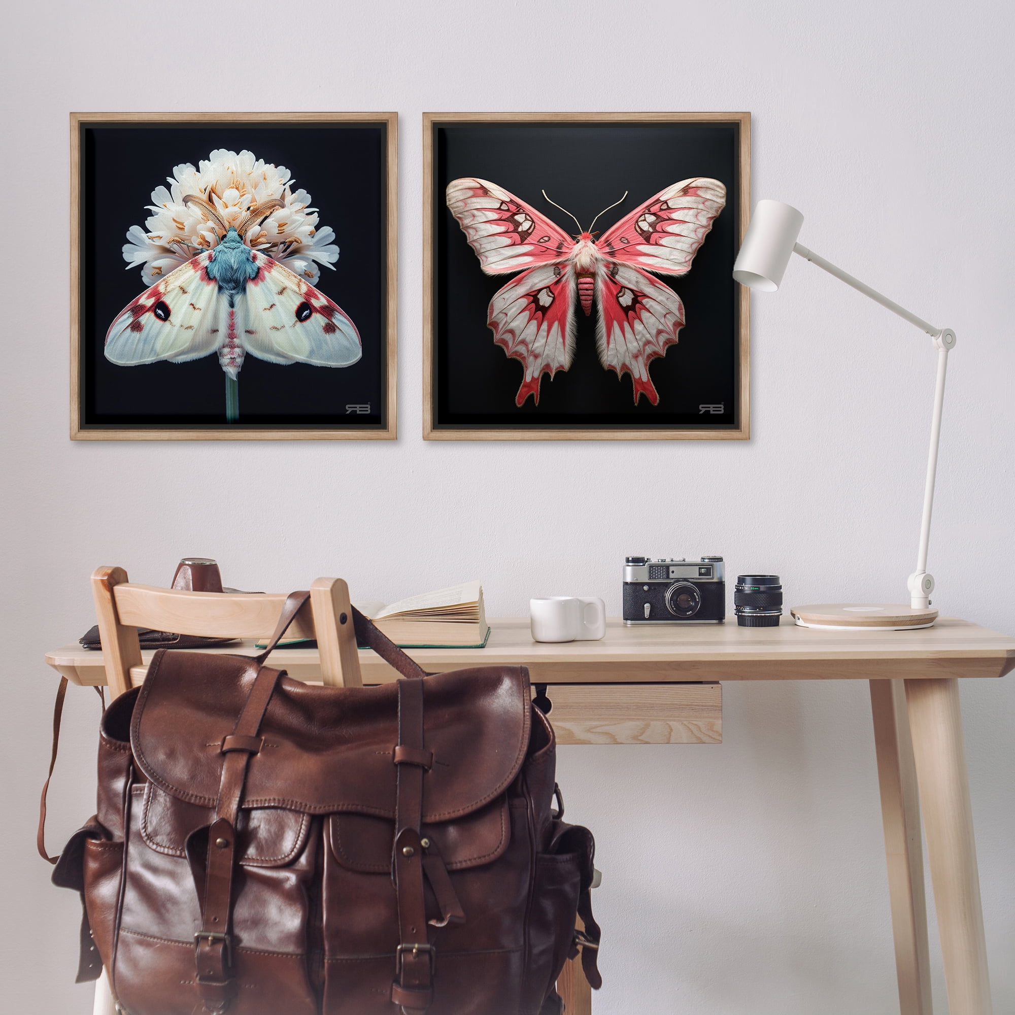 Stupell Industries Detailed Pink Moths Flower Animals Painting Brown Floater Framed Canvas Art Print Wall Art, 25 x 25, Set of 2