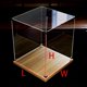 thumbnail image 3 of Caja de exhibición de acrílico transparente personalizada, caja de ensamblaje de base de madera, cubo de encimera, caja de exhibición a prueba de polvo para manualidades de juguetes de acción, 3 of 5