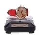 thumbnail image 5 of 038 Vitrina Solar Portátil para Reloj Soporte Presentación (), 5 of 6