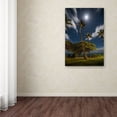 thumbnail image 3 of Trademark Fine Art 'Moonlit Palm Trees' Canvas Art by Pierre Leclerc, 3 of 3