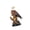 BY2241, variant on AOOOWER Majestic Hawks Statue Decors Hawks Yard Decors Animal Sculpture Bald Hawks Figurines Ornament for Home Garden Decors