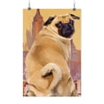thumbnail image 1 of Image Conscious Funny Pug Poster - Porter Hastings Designs, Poster Print 24 x 36 in, 1 of 3