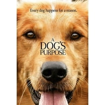 A Dog's Purpose (DVD)