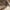 Beige, variant on SOMER Women's Sweaters V Neck Pullover Long Sleeve Knitted Cozy Dressy Casual Ladies Fashion Tops for Spring Fall Winter