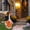Yellow, variant on Goose Outfits Halloween Decorations Gooses Clothes Big White Gooses Halloween Decorations White Gooses Decorative Baby Clothes Pumpkin Print Gooses Clothes Suitable For Halloween Decorations