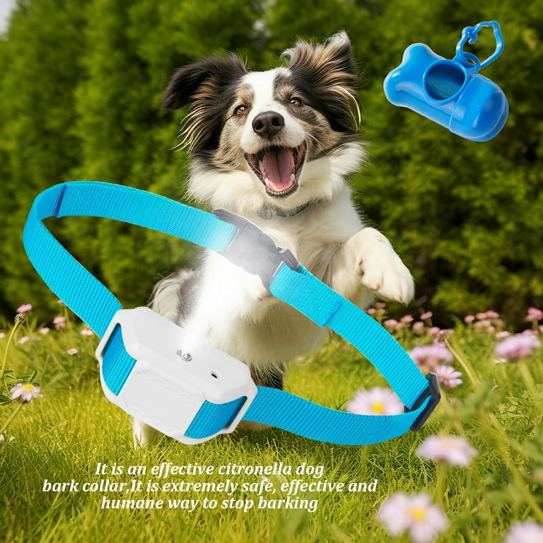 Citronella Spray Collars Citronella Dog Collar Side Effects Aazon