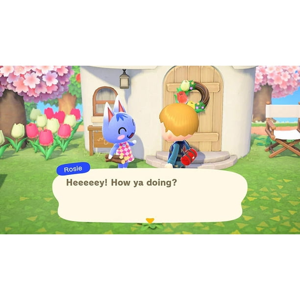 Animal Crossing New Horizons Nintendo Switch Nintendo Switch
