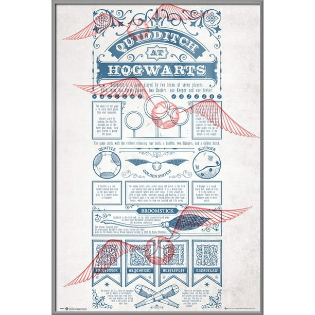 Harry Potter Framed Movie Poster (Quidditch At Hogwarts Infographic & Rules) (Silver