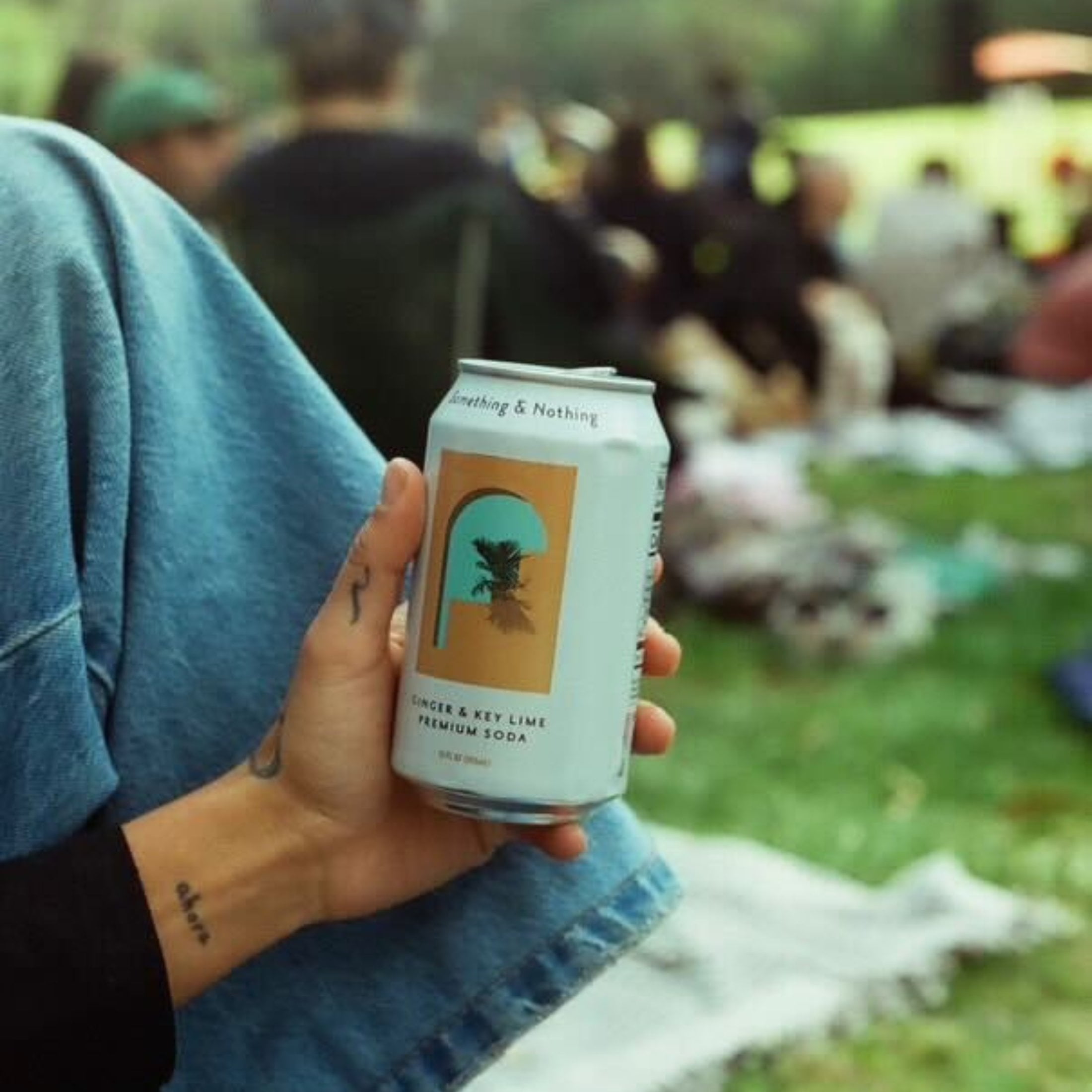 Something & Nothing Lightly Carbonated Ginger & Key Lime Premium Soda Case of 12 x 12 Fl Oz