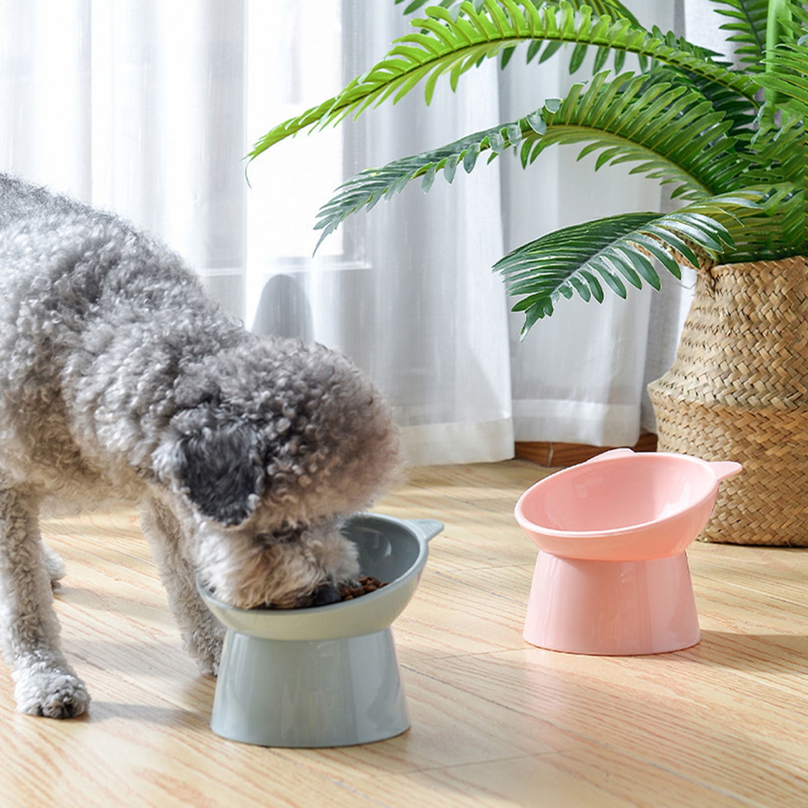 4pcs Tilted Elevated Cat Food Bowl - Cat Bowls Whisker Friendly Anti Vomiting Slanted Feeding Bowls Cute Shallow Bowl B