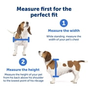PetSafe Extreme Weather Pet Door for Dogs and Cats, Energy Efficient - Medium