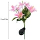thumbnail image 3 of Lámpara Solar de Suelo para Jardín Msh240815001 | Lámpara Decorativa de Pvc con Estaca para Flores, Impermeable, Ip65, con Energía Solar | Encendido y Apagado Automático, Ahorro de Energía | Amarillo, 3 of 6