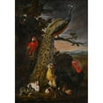 thumbnail image 2 of David de Coninck 11x14 Black Ornate Wood Framed Double Matted Museum Art Print Titled: Landscape with a Peacock, Parrot, Chicken, Turkey, Two Rabbits and a Guinea-Pig, 2 of 5