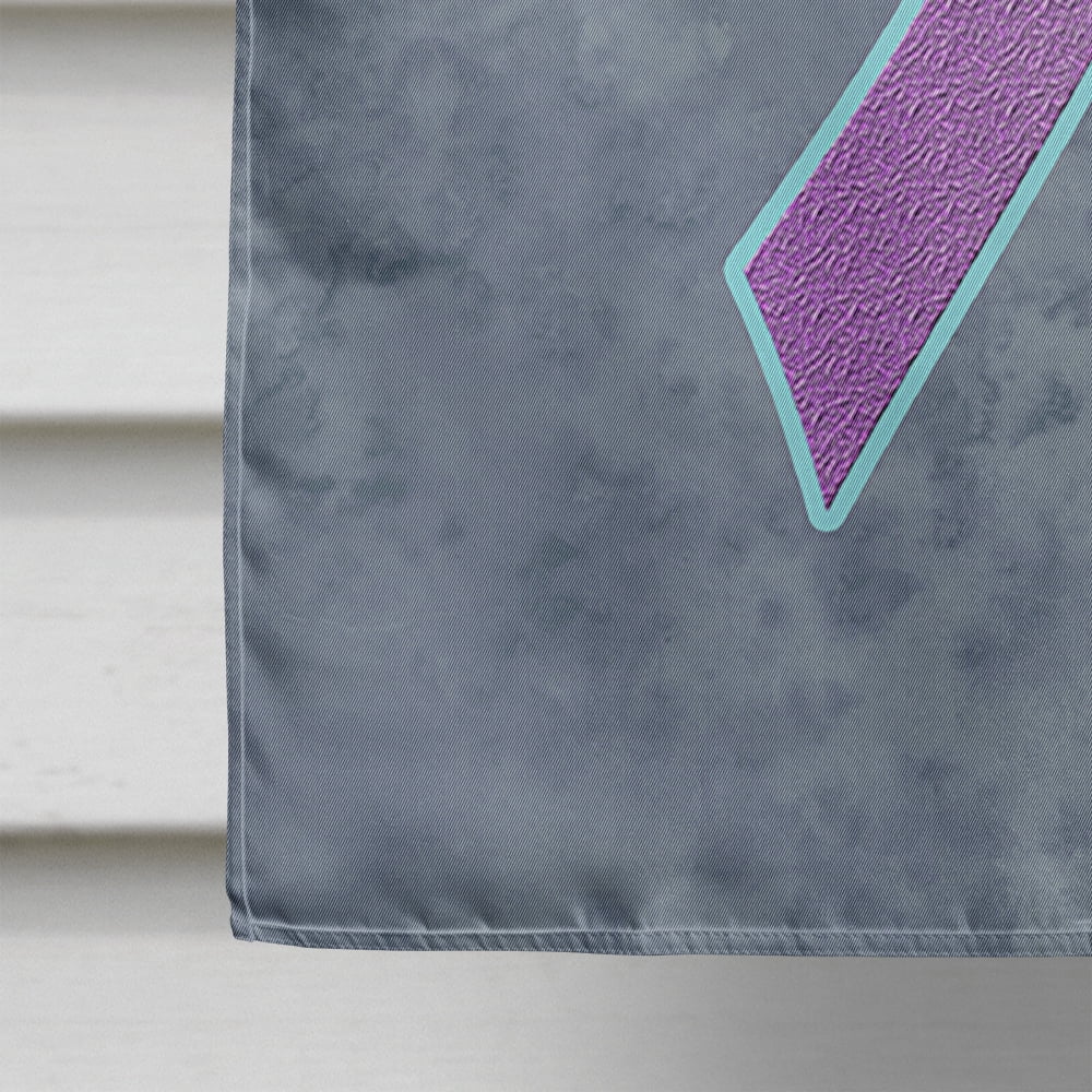 Teal, Pink and Blue Ribbon for Thyroid Cancer Awareness Flag Canvas House Size