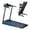 Type 1, variant on SWERTOY 2.5HP Foldable Electric Treadmill Motorized Running Machine with 12 Perset Programs 265LBS Weight Capacity Walking Jogging Treadmill