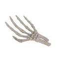 thumbnail image 2 of Plastic Halloween Human Skeleton Hand Decor 7x5.5 in Set of 2, 2 of 3
