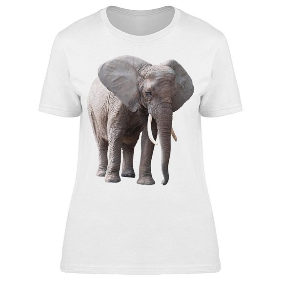Elephant Beautiful Side Tusks Tee Women's -Image by Shutterstock
