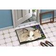 thumbnail image 2 of Carolines Treasures SS8825MAT 18 x 27 in. Cat Indoor & Outdoor Doormat, 2 of 4
