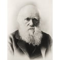 thumbnail image 2 of Posterazzi DPI1862336 Charles Darwin 1809 1882 English Naturalist In Old Age Poster Print, 12 x 17, 2 of 4