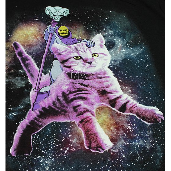 skeletor riding a cat