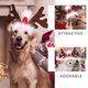 thumbnail image 3 of 2 diademas navideñas con astas de reno para mascotas, 3 of 8
