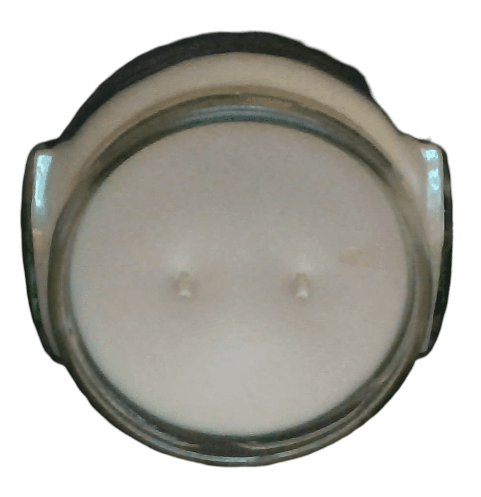 Tyler Candles - Mediterranean Fig Scented Candle - 11 Ounce 1 Wick Candle