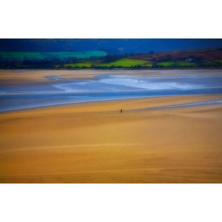Lonesome Man walking on sand beach Portmeirion - location for the 1960s cult film The Prisoner Gwynedd North Wales Canvas Art - Panoramic Images (36 x 24)