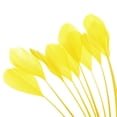 thumbnail image 4 of Uxcell 6-8 Inch Goose Feathers, 50 Pack Bulk Natural Feathers for Crafts Style 4, Yellow, 4 of 5