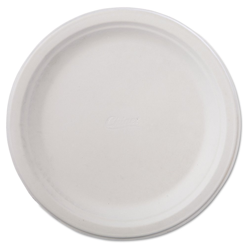 Classic Paper Dinnerware Plate 9 3/4" dia White 125/Pack 4 Packs
