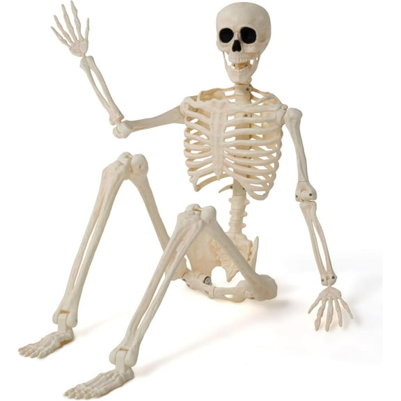 Foraging dimple 36" Halloween Skeleton Decor, 3FT Full Body Stayable Movable Joints, Hanging Skeletons for Halloween Decoration, Yard Graveyard Haunted House Props, Spooky Scene Party Favor