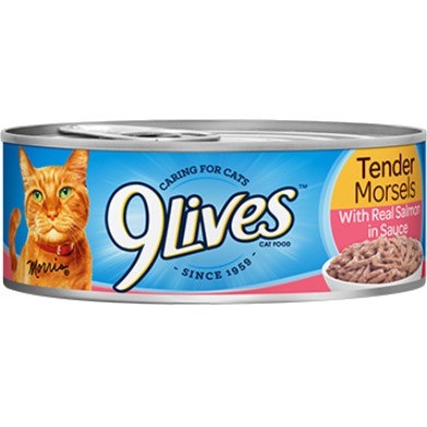 9 lives cat food walmart