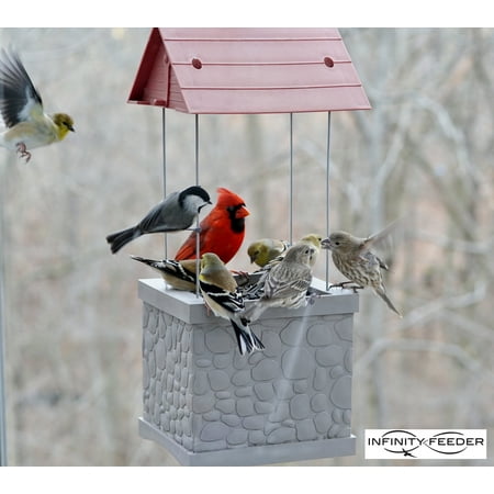 Infinity Bird Feeder - Wild Bird Feeder with 360 Degree View of Feeding (The Best Bird Feeders)